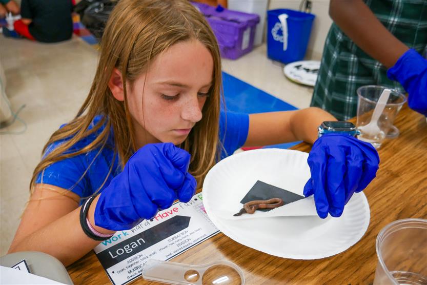 Students study earthworms in class